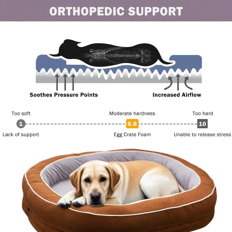 Lit Orthopédique Ovale pour Chien – Mousse à Mémoire de Forme