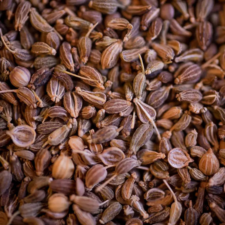 Organic Green Anise Seed Infusion 100g 