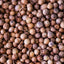 ORGANIC CORIANDER SEED INFUSION 50G