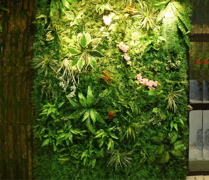 Plantes Murales Décoratives