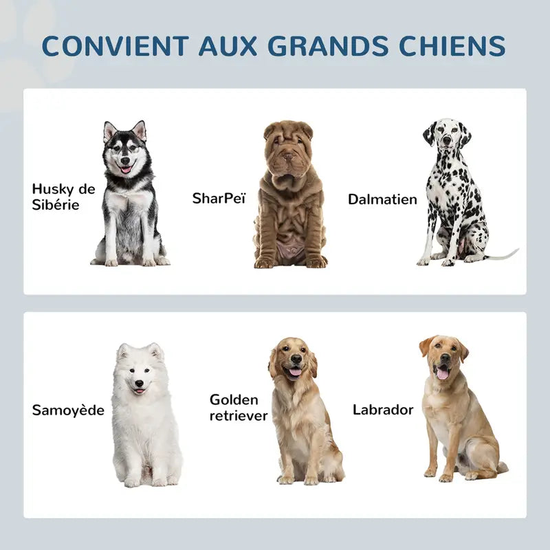 Gamelles Surélevées pour Chien et Chat - Double Gamelle avec Support Bois