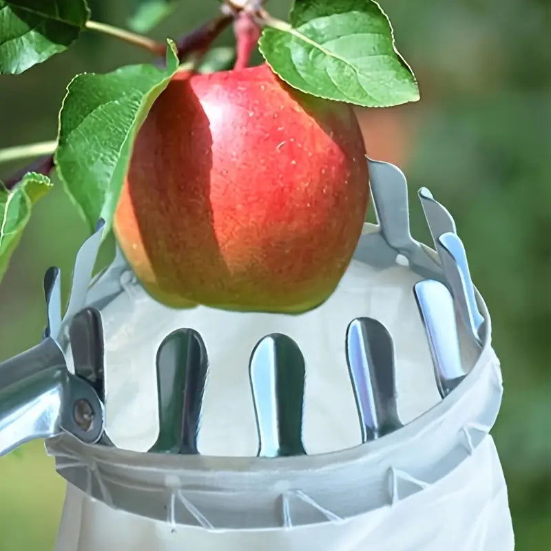 Outil de Ramassage de Fruits en Acier Inoxydable avec Sac de Capture & Ciseaux de Sécurité