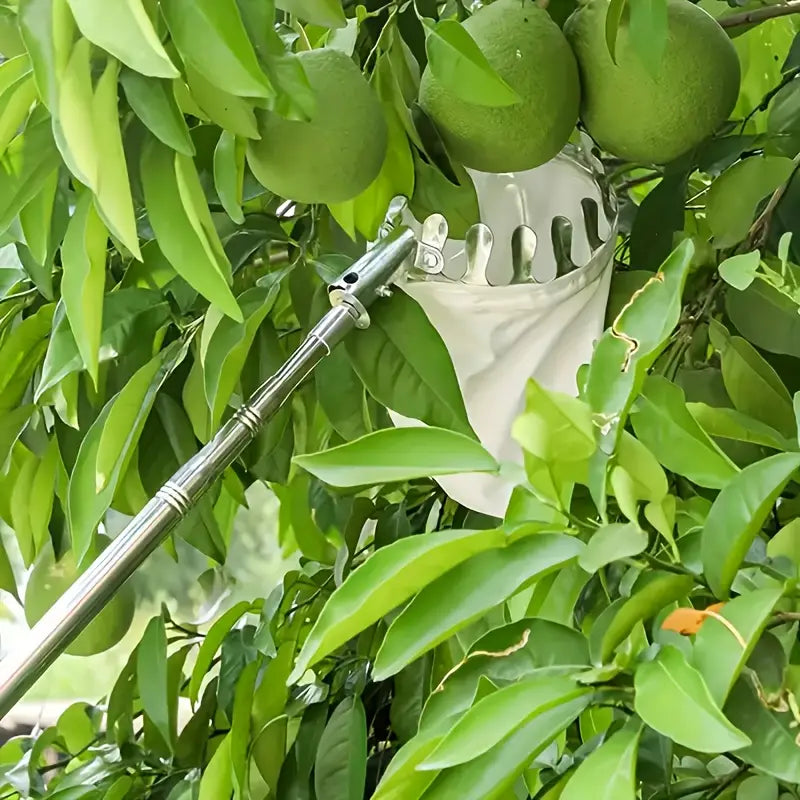 Outil de Ramassage de Fruits en Acier Inoxydable avec Sac de Capture & Ciseaux de Sécurité
