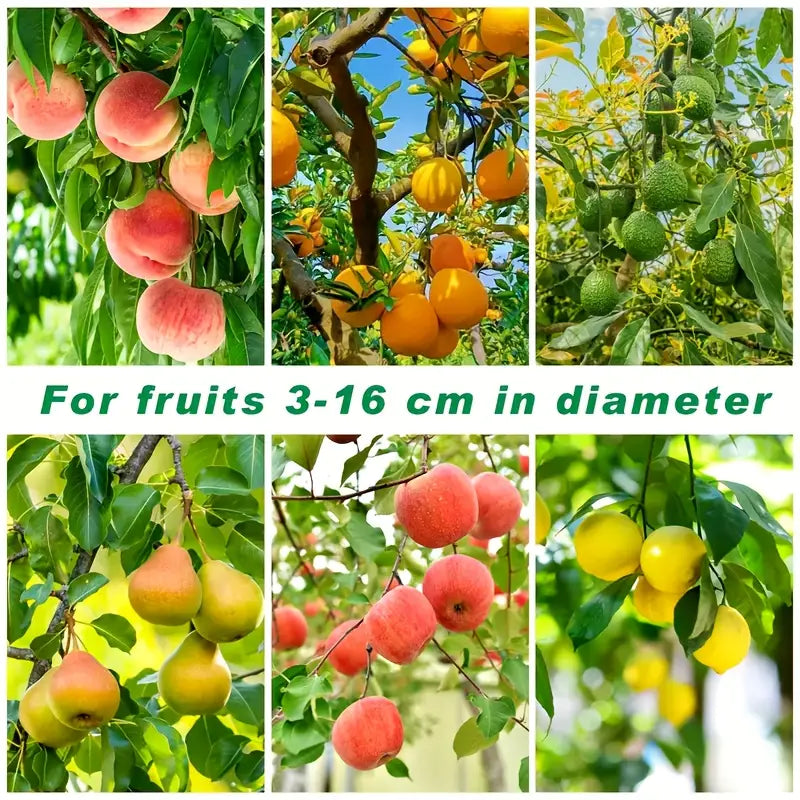 Outil de Ramassage de Fruits en Acier Inoxydable avec Sac de Capture & Ciseaux de Sécurité