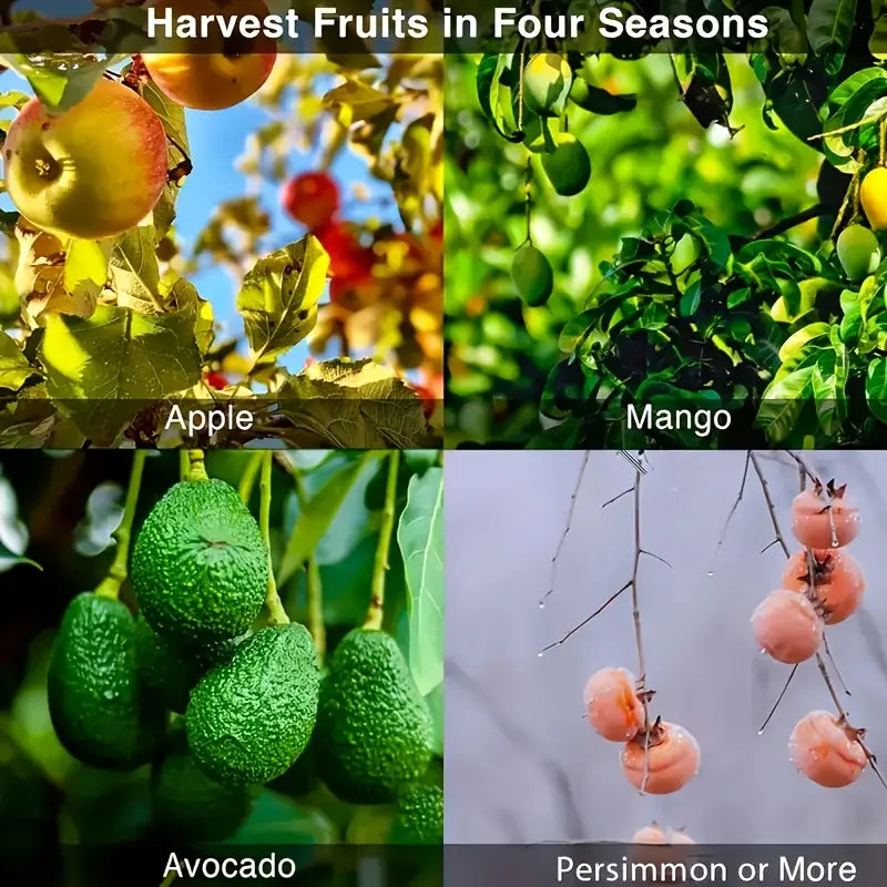 Outil de Ramassage de Fruits en Acier Inoxydable avec Sac de Capture & Ciseaux de Sécurité