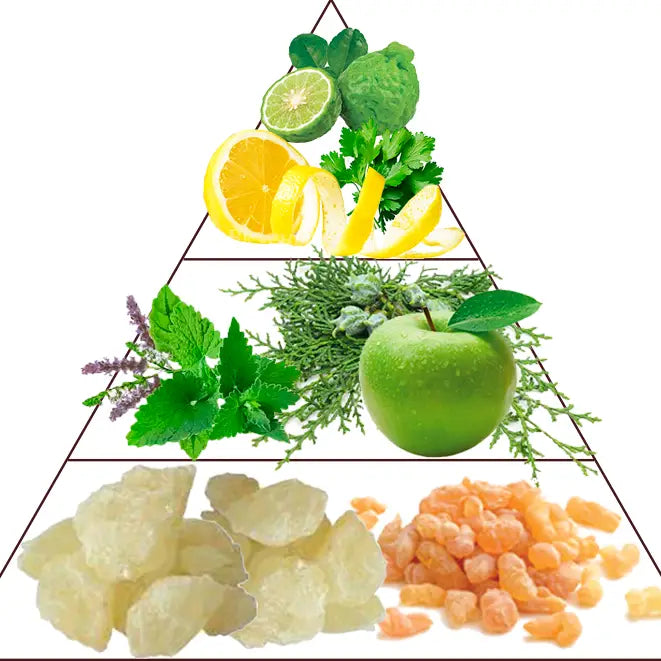 Parfum Dubaï -  Preparfumer