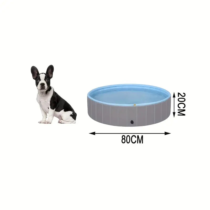 Piscine Portable Antidérapante pour Chien