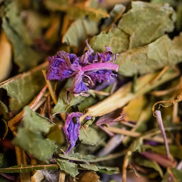 INFUSION EPILOBE BIO PARTIE AERIENNE 30G