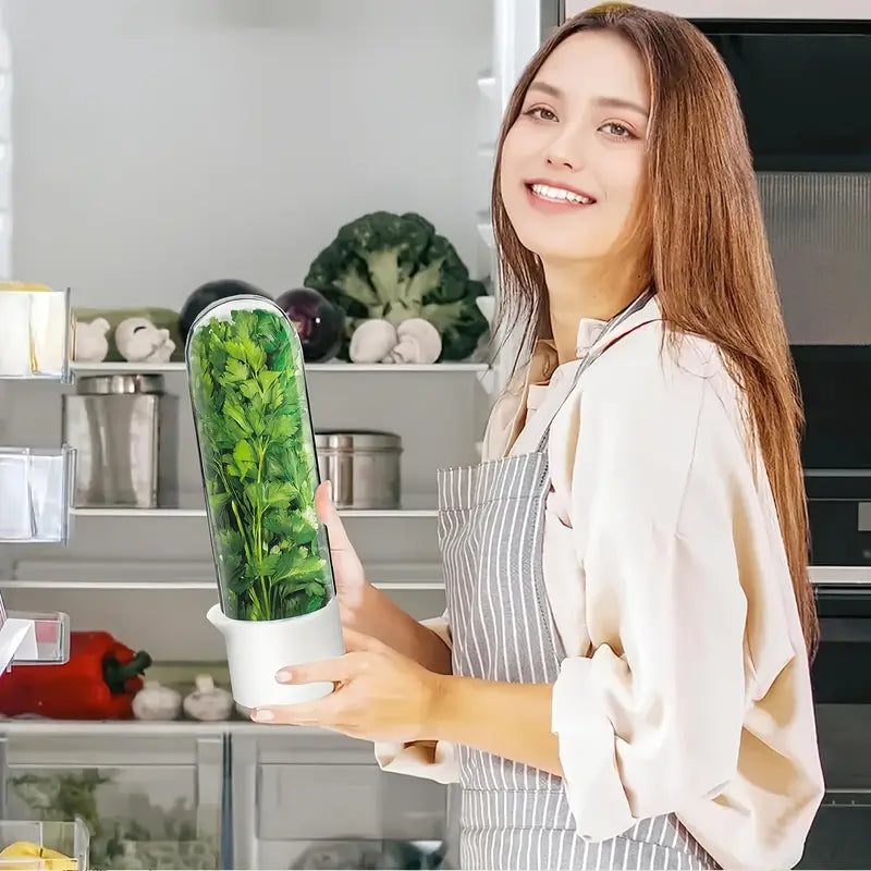 Boîte de Conservation Réfrigérée pour Herbes