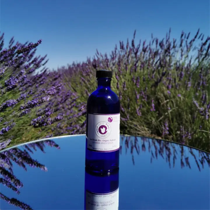 Bio-Blütenwasser Lavendel Angustifolia „La Petite Lavandière“ - Nicolosi Créations 