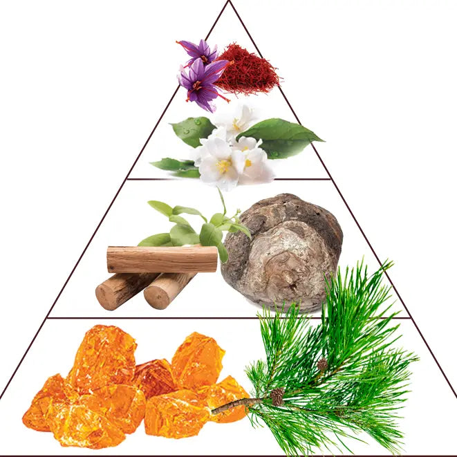 Parfum Ambre rouge -  Preparfumer