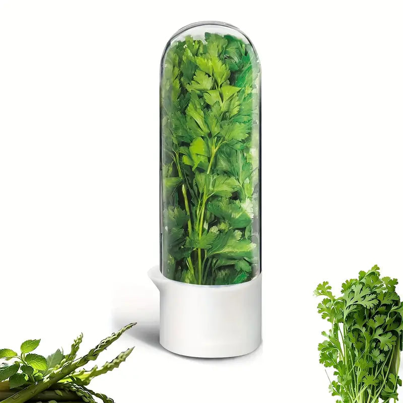 Boîte de Conservation Réfrigérée pour Herbes
