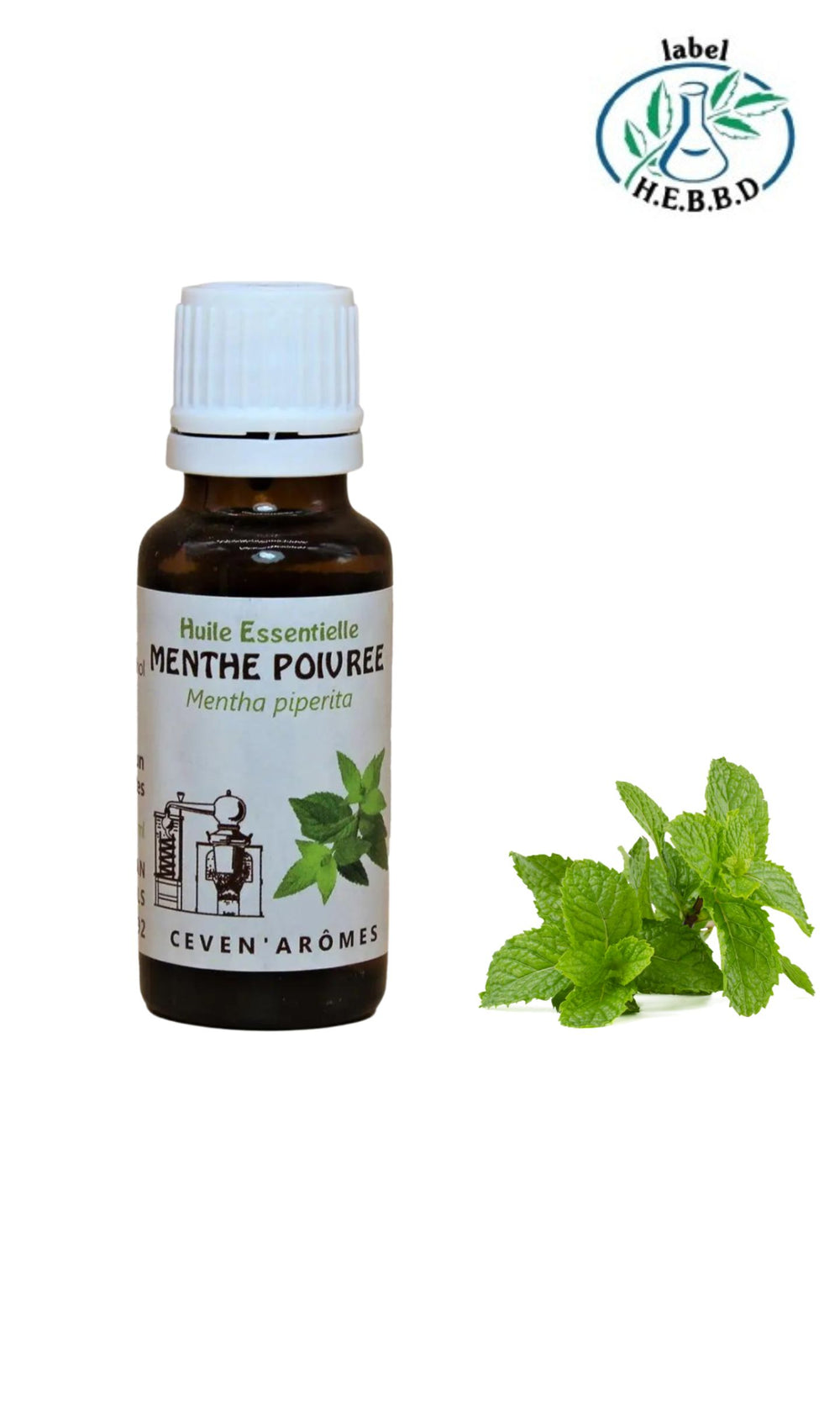 Huile essentielle bio de menthe poivrée – 10 ou 20 ml, Céven’Arômes