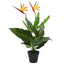 Plante Artificielle Strelitzia Reginae – Oiseau de Paradis 66 cm