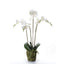 Phalaenopsis Artificiel avec Mousse – Élégance Intemporelle (90 cm, Blanc)