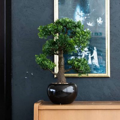 Mini Artificial Ficus Bonsai – Elegance and Serenity in Your Interior