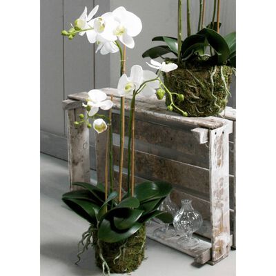 Künstliche Phalaenopsis Orchidee - 70 cm Weiß