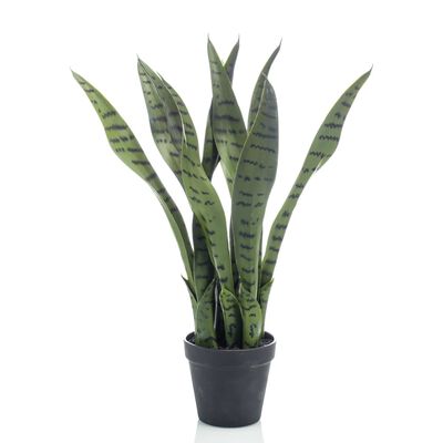 Artificial Sansevieria Plant 55 cm - Natural Radiance and Timeless Elegance