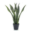 Plante Artificielle Sansevieria 55 cm - Éclat Naturel et Élégance Intemporelle