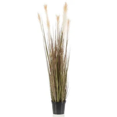 Artificial Pampas Grass 120 cm – Natural and Timeless Elegance