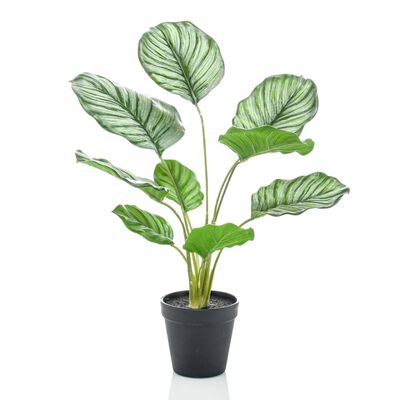 Artificial Calathea Orbifolia Plant 45 cm in Pot - A Tropical Sparkle in Your Interior