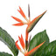 Plante Artificielle Strelitzia - 100 cm