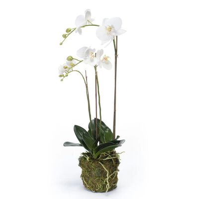 Künstliche Phalaenopsis Orchidee - 70 cm Weiß