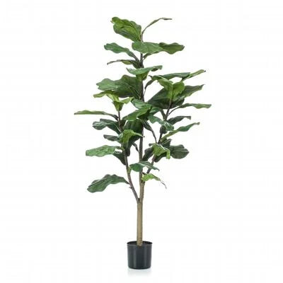 Emerald Ficus Lyrata Artificial 120 cm – The Essential Plant Elegance