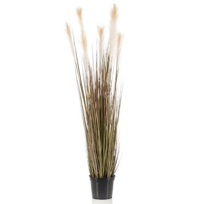 Artificial Pampas Grass 120 cm – Natural and Timeless Elegance