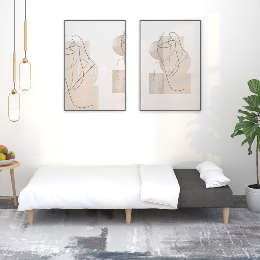 Canapé-Lit 2 Places avec 2 Oreillers – Pratique, Confortable et Élégant
