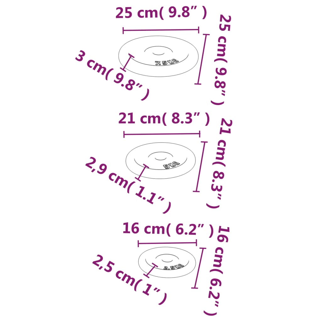 Plaque de Poids en Fonte – Multi-tailles