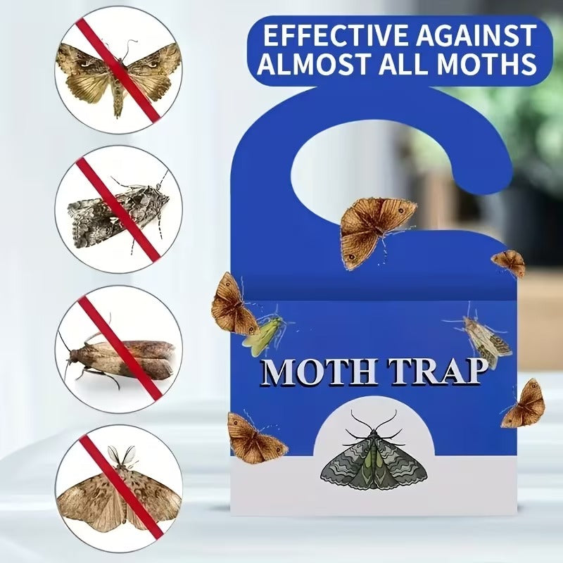 Lot de 12 pièges anti-mites alimentaires