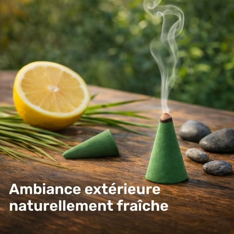 Encens citronnelle anti-moustiques