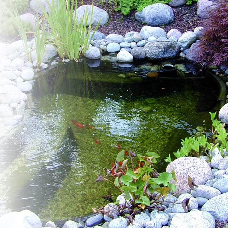Bassin préformé de jardin 150 L IRIS SI