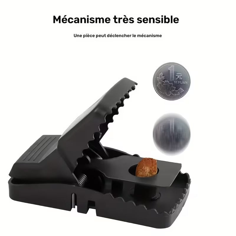 Lot de 8 pièges à souris réutilisables