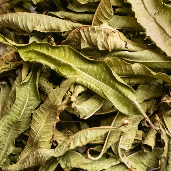 Organic verbena infusion - 20G 