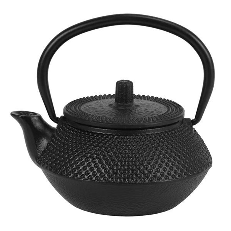 Cast Iron Teapot with Stainless Steel Infuser | Japanese Elegance and Tradition