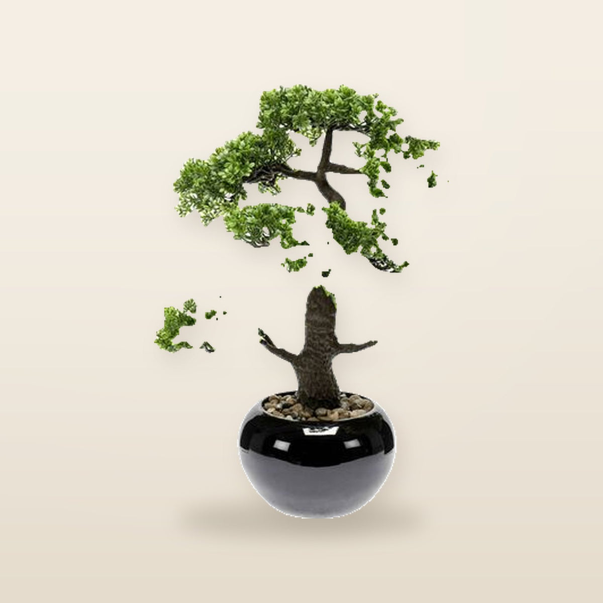 Mini Bonsaï Ficus Artificiel – Sublime
