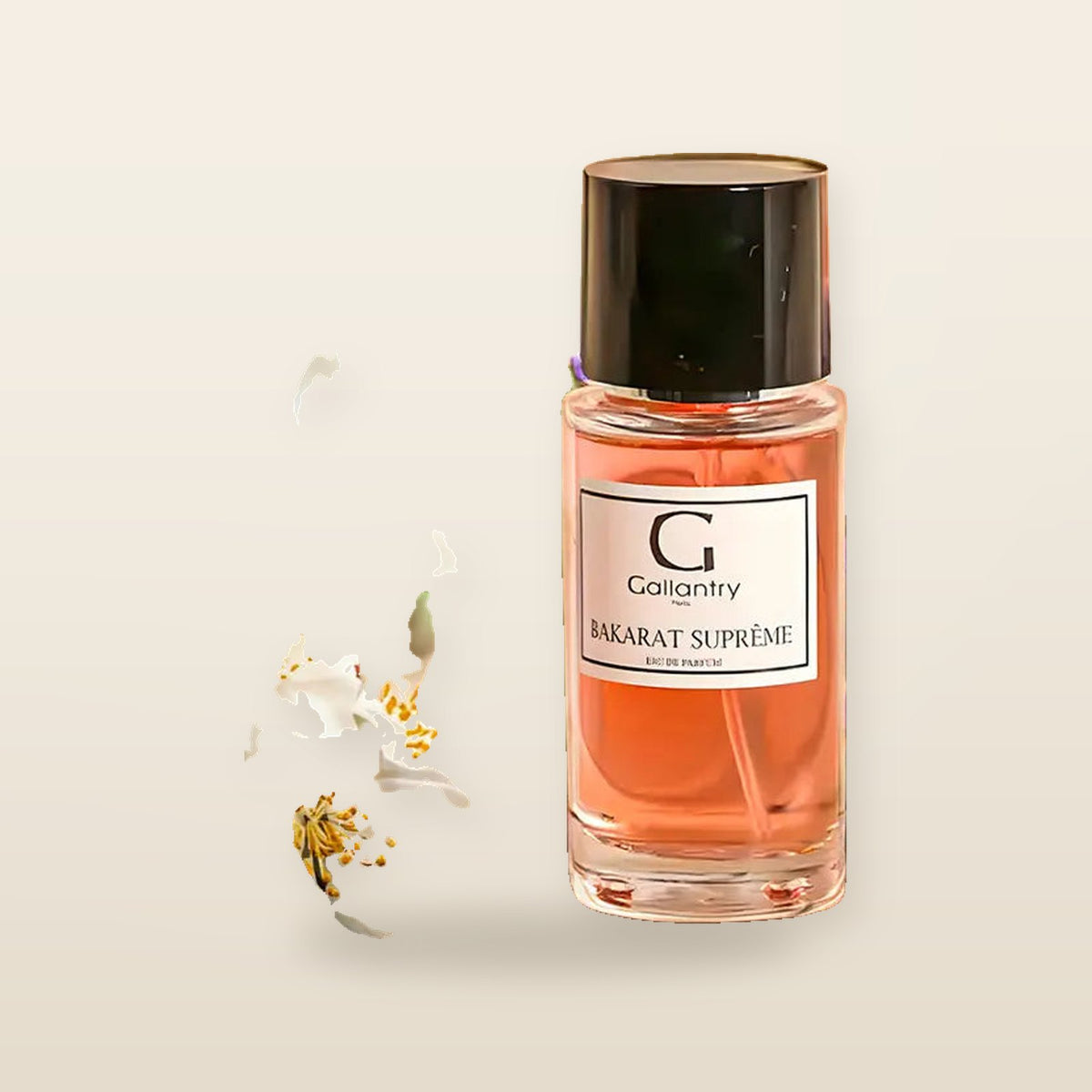 PARFUM - Bakara Suprême
