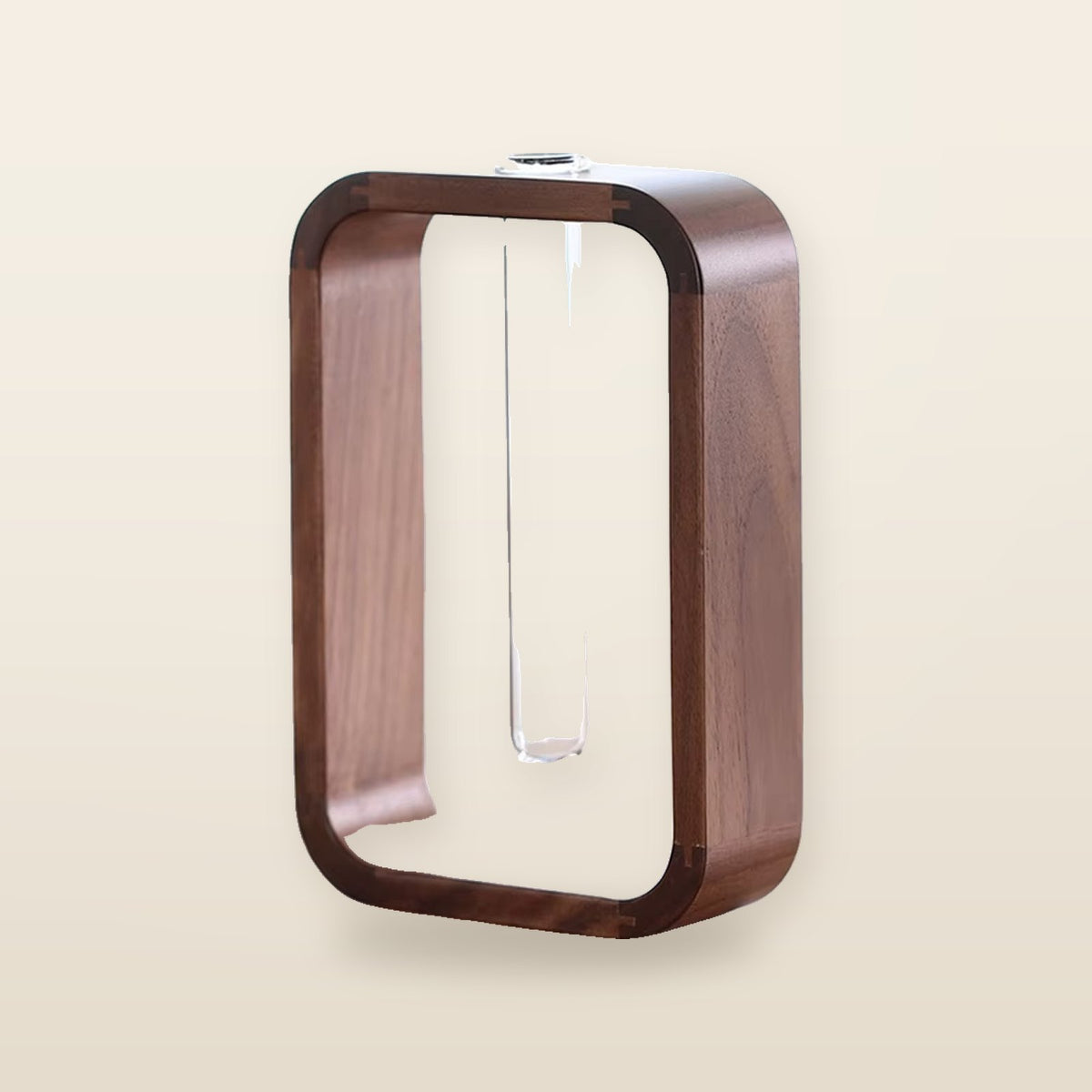 Plante Hydroponique en Verre avec Support Rectangulaire en