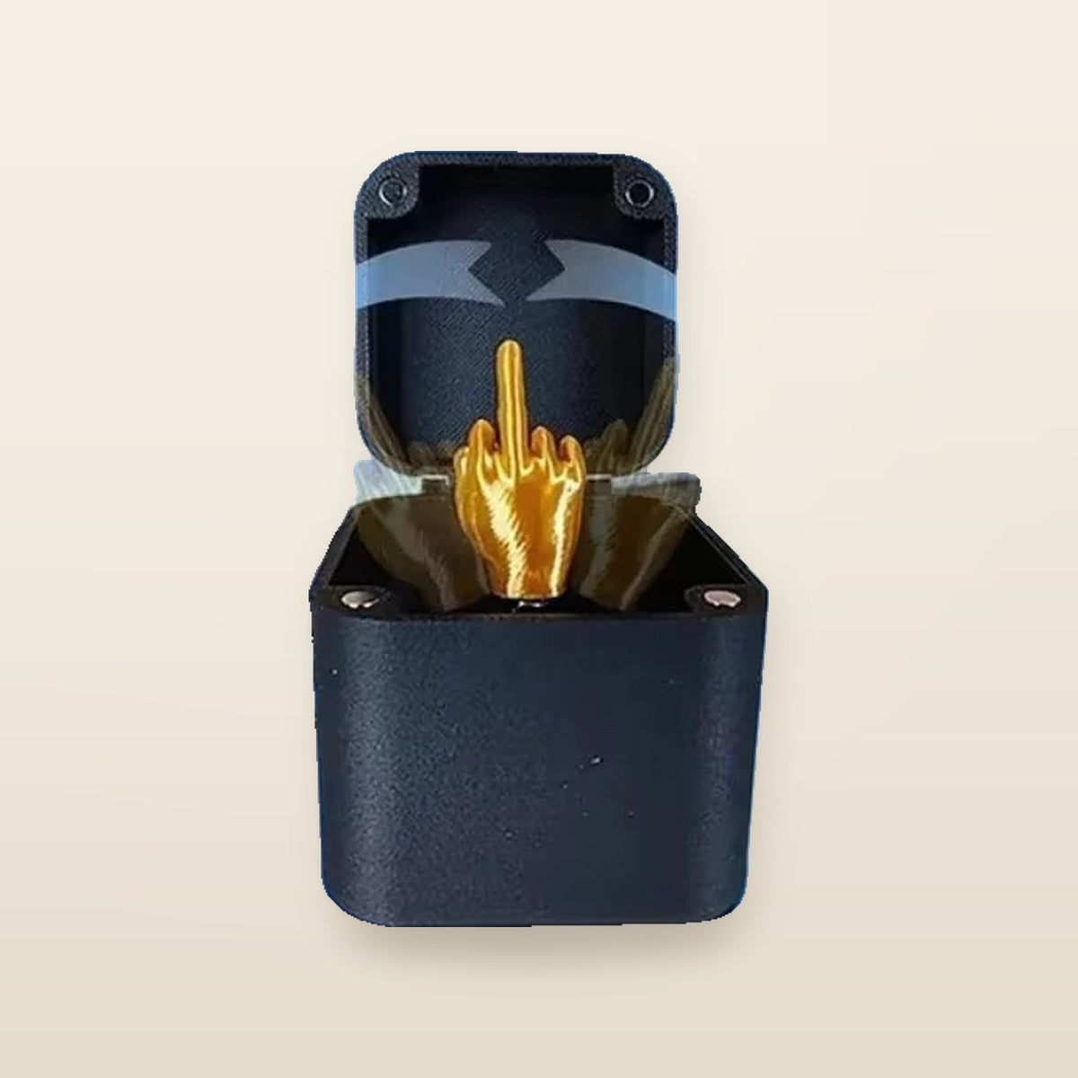 Boîte cadeau farce doigt d’honneur 3D – Secret Santa adulte