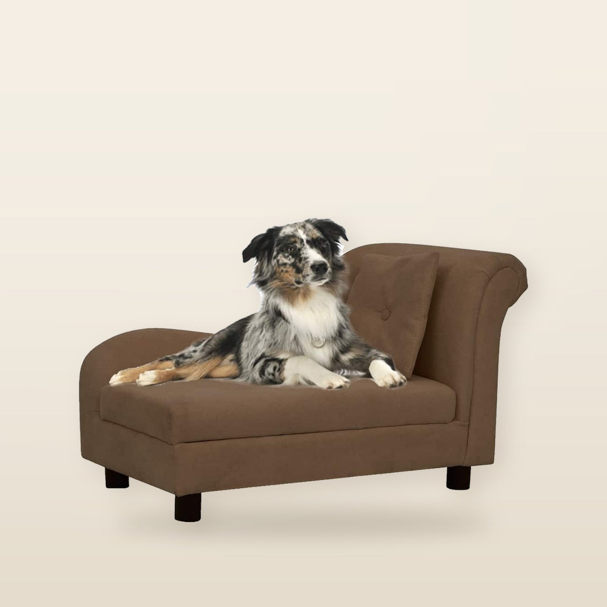Canapé Confortable pour Chien - Lit Douillet avec Oreiller & Pieds Antidérapants