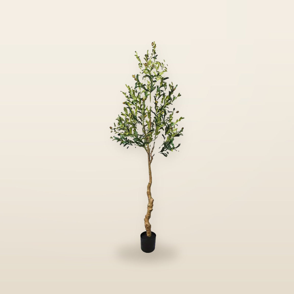 Olivier artificiel réaliste – 120 à 210 cm