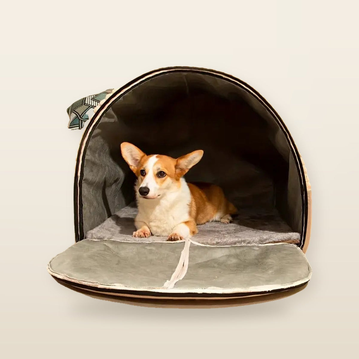 Maison pour Animaux Style Cabane Sécurisée