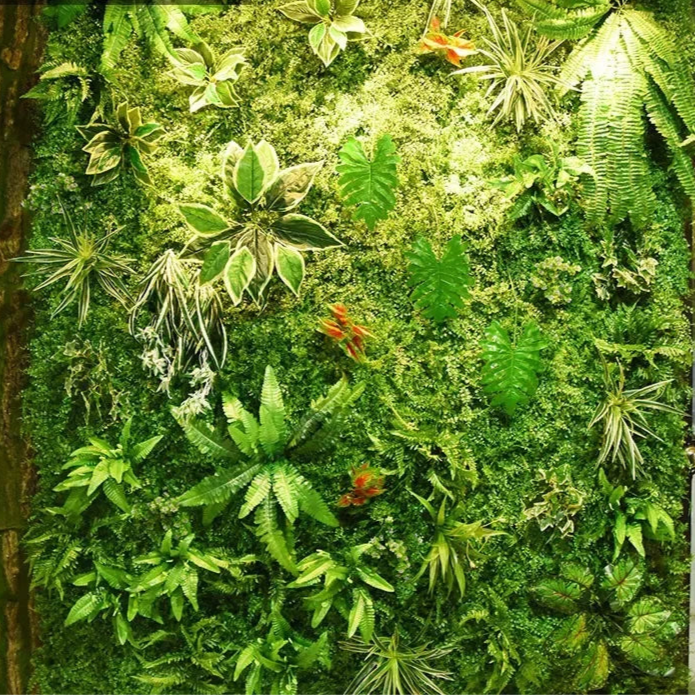 Plantes Murales Décoratives