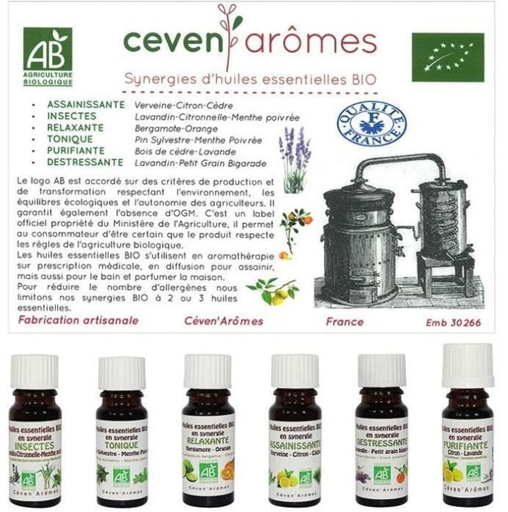 56er-Pack Bio-Synergien – Ein Schatz an ätherischen Bio-Ölen