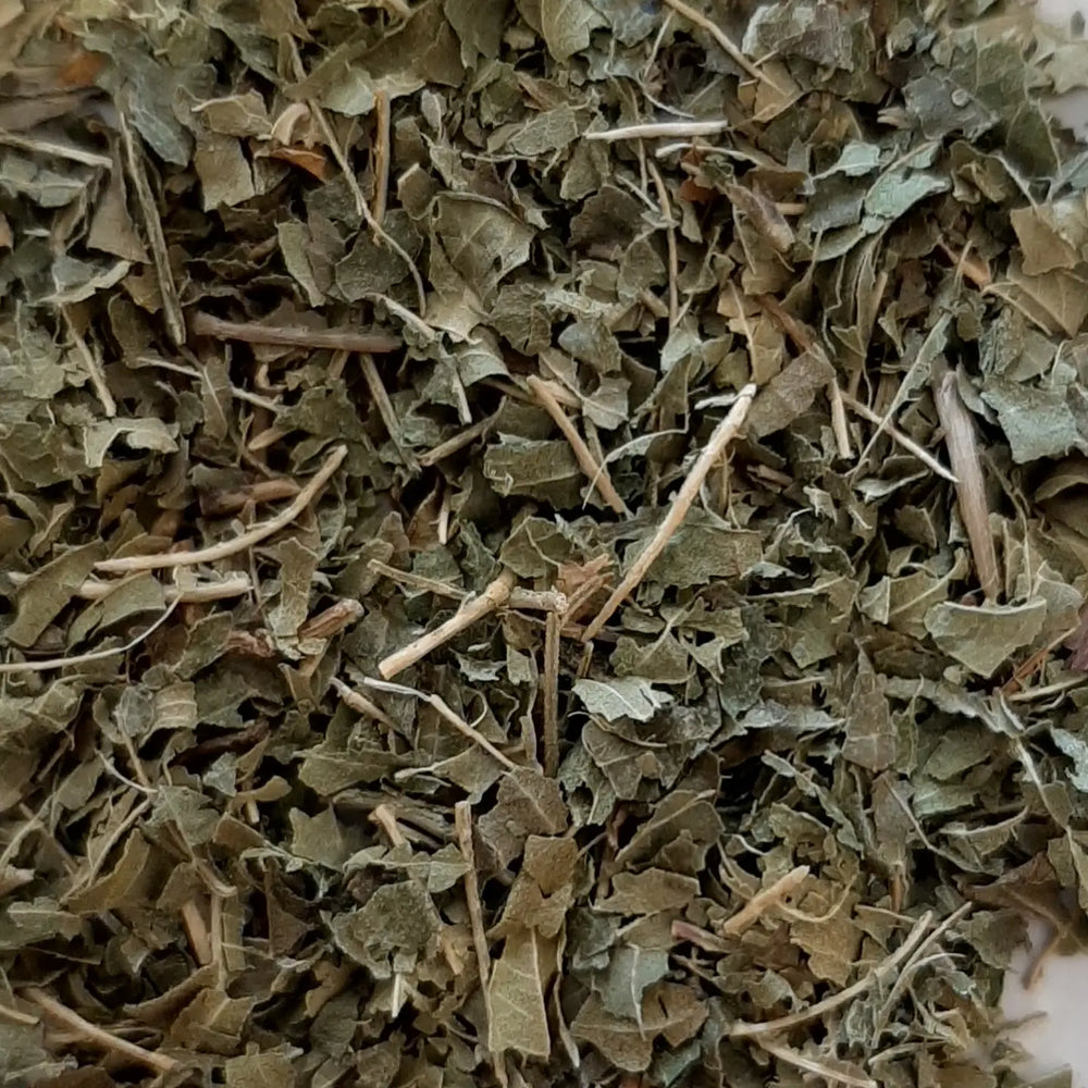 Tisane Infusette Verveine Bio (x20) / boite de 50 g – Comptoir d’Herboristerie