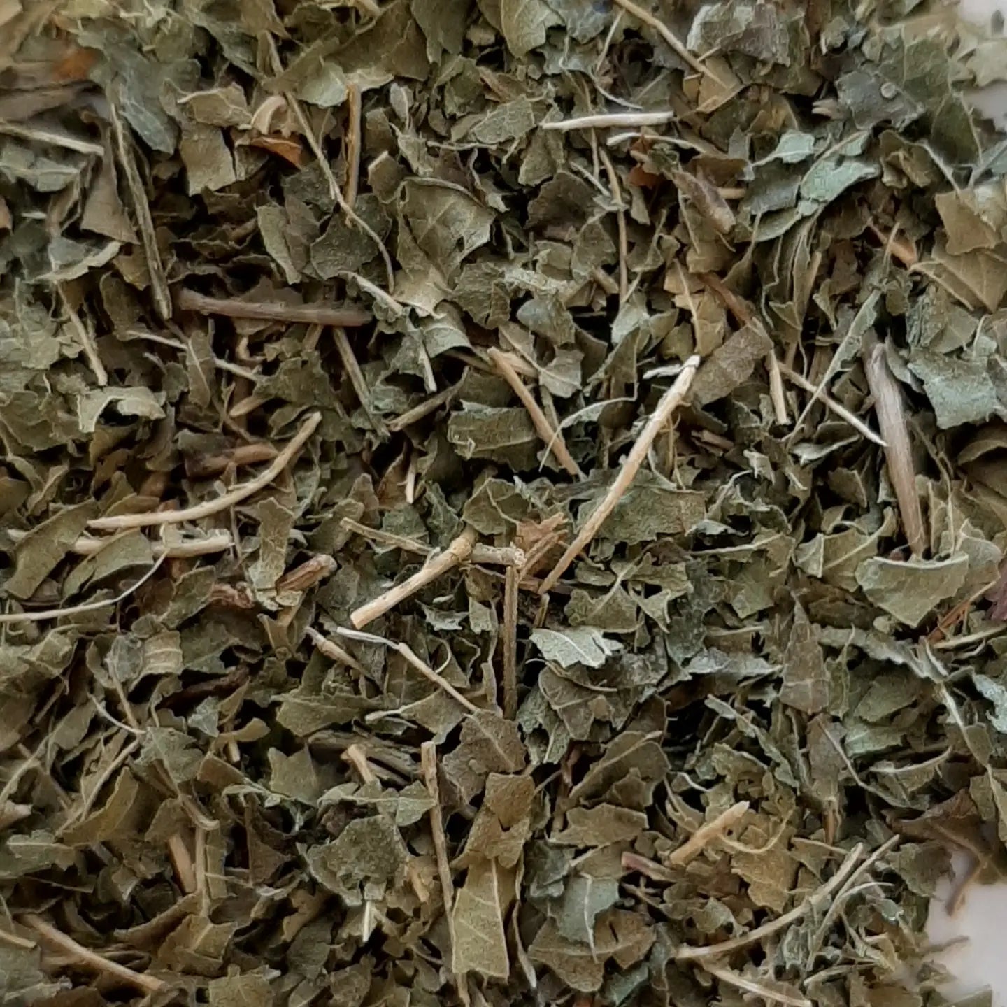 Tisane Infusette Verveine Bio (x20) / boite de 50G – Une Infusion Relaxante et Apaisante