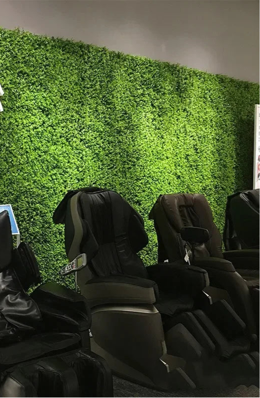 Plantes Murales Décoratives – Élégance Naturelle à Votre Porte